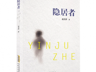 隐居者  赵美萍著